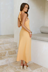 Dreamy Silhouette Halter Maxi Dress Sorbet
